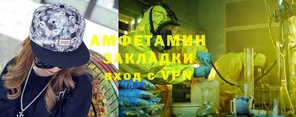 молекула духа Богородицк