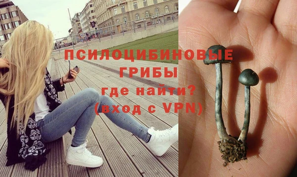 кокаин премиум Богородск