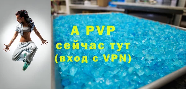 молекула духа Богородицк