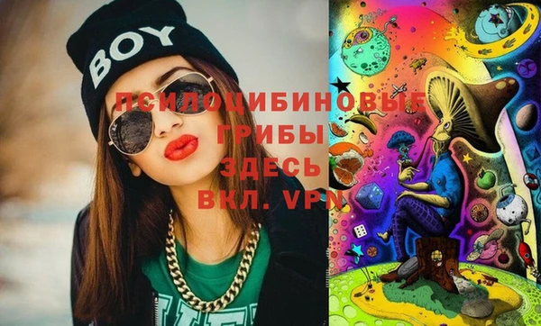 молекула духа Богородицк